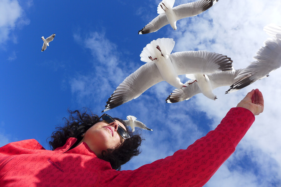 Online Beginners Photography Course