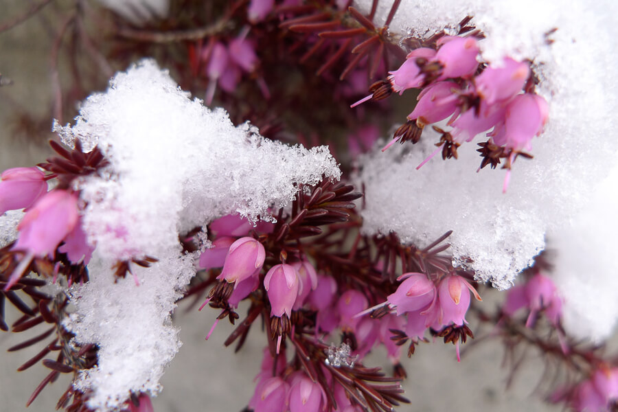 Focus 10 Smartphone Course Gift Voucher