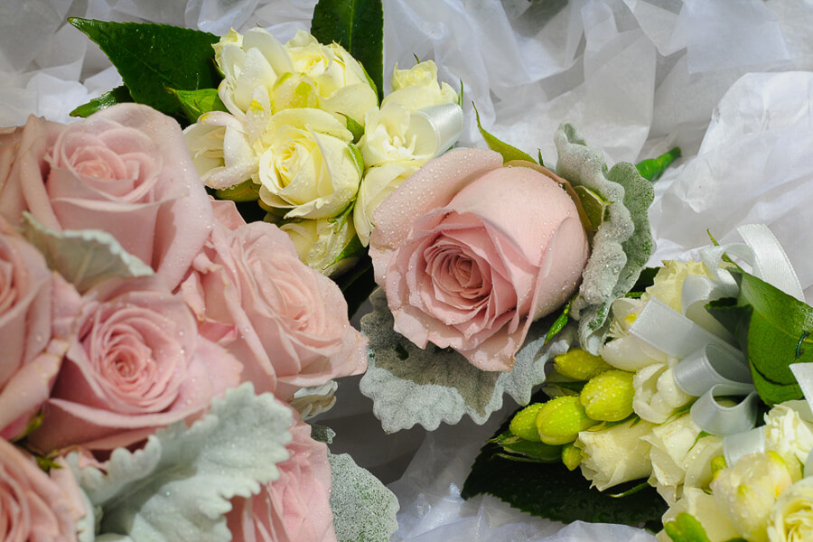 
Notice: Undefined variable: alt_key_wordsRecord in /home/fofo2559/public_html/wedding_inspiration.php on line 194
